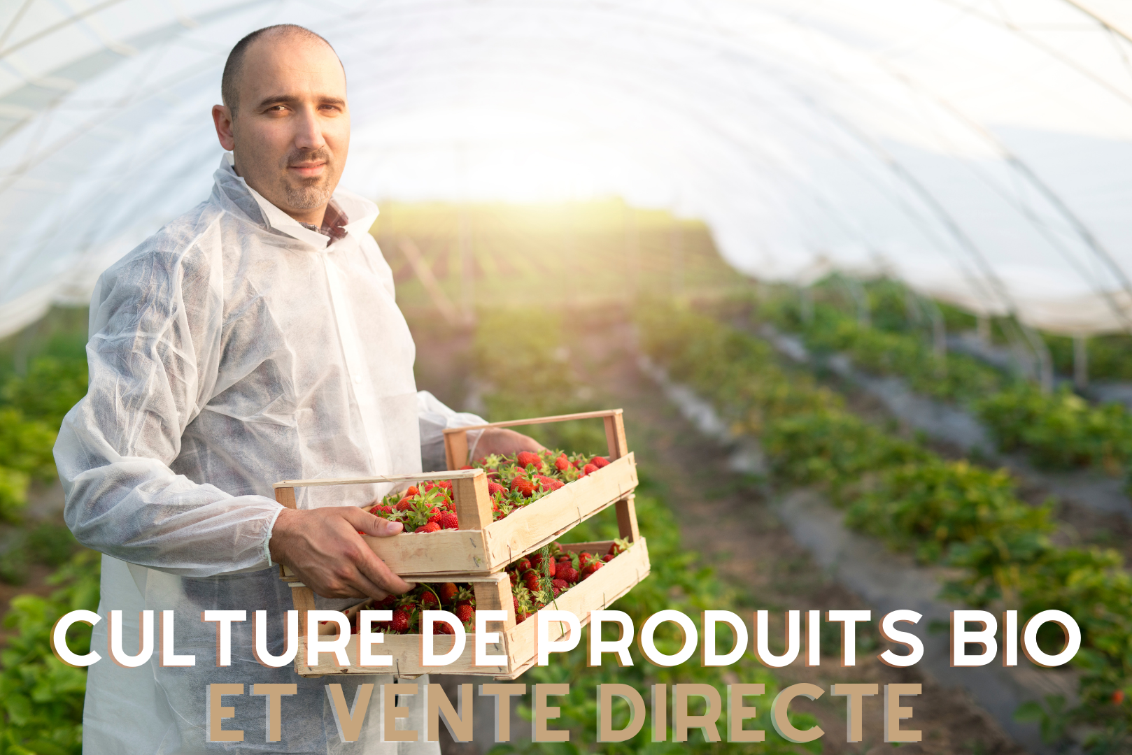 Culture de produits bio et vente directe | Station A Maroc