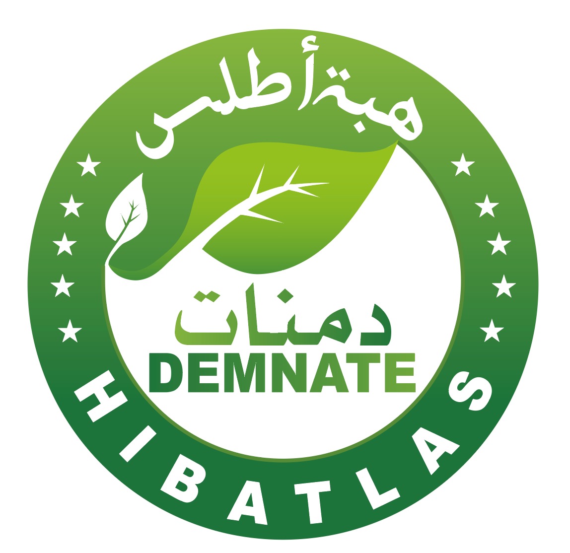 Coopérative Demnate - Valorisation de Caroube et d’autres produits forestier