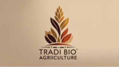 La Coopérative Tradi Bio - Production de Couscous Traditionnel