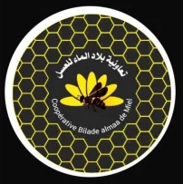 Coopérative Bilad Lmae - Production de Miel Naturel